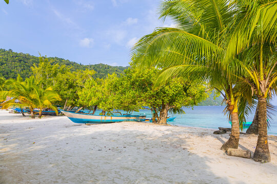 The beach scene with boat under palm tree