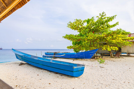 The beach scene with boat under palm tree