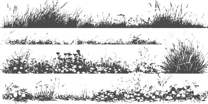 Hand Drawn Grass and Floral Ground Cover Vector Collection Featuring Monochrome Botanical Illustrations.