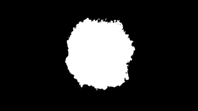 Organic ink blot expansion matte, abstract liquid paint explosion alpha channel, black and white ink bloom transition effect