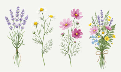 Set of lavender, chamomile and cosmos wildflowers with bouquet, watercolor botanical illustration for spring and garden designs © Rahmat