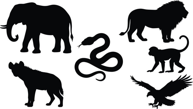 Black Silhouette African and Exotic Wild Animal Set Featuring Elephant Lion Snake Hyena Monkey and Eagle on White Background