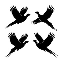 Fototapeta premium Flying pheasant silhouette icon set