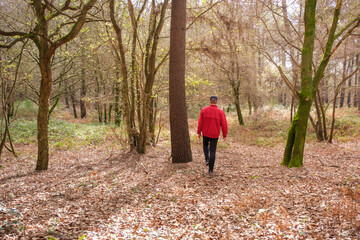 Fototapeta premium Man walking through autumn forest exploring nature