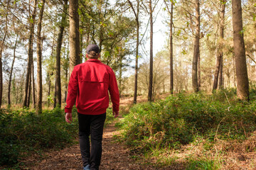 Obraz premium Man walking path in forest exploring nature