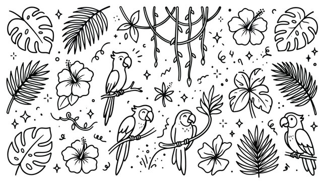 Hand drawn doodle set of tropical parrots and exotic jungle plants.