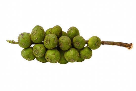 Fresh Green Cluster Figs on a Wooden Branch