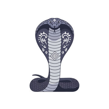 Snake Decorated for Nag Panchami Festival Celebration