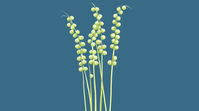 Slender green grass stalks with clustered round bulbs on deep teal background, minimalist botanical illustration with vertical symmetry and muted organic hues