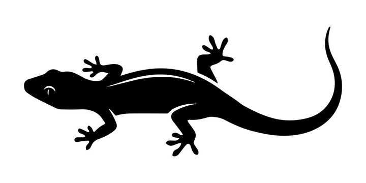 Black Gecko Silhouette on Minimalist White Background, Exotic Reptile Wildlife Symbol for Nature, Science, or Tropical Design Elements, Vector Graphic Illustration of a Curious Lizard for Web, Print,