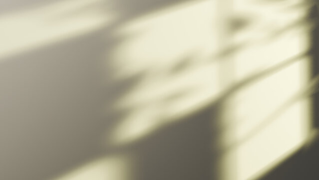 Shadow window overlay light on wall background. Soft minimal aesthetic natural leaves morning sunlight empty space mockup template