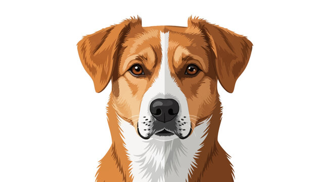 Detailed vector illustration of a brown and white mixed breed dog head. Close-up portrait of a canine with floppy ears and a white blaze on its muzzle, isolated on a white background.