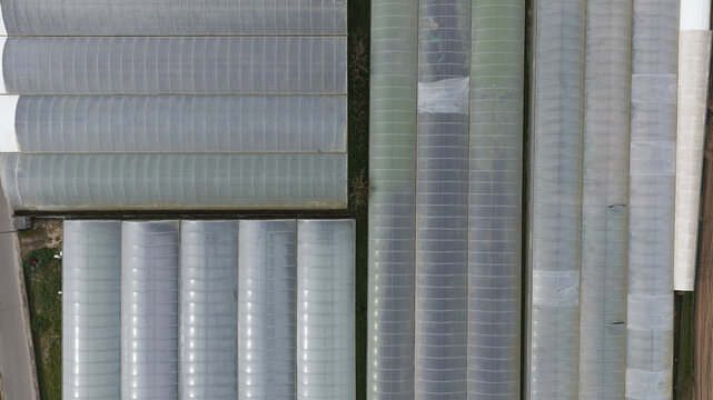 Aerial view of plastic greenhouses arranged in rows, showing the translucent structures and geometric patterns in Porto, Portugal.
