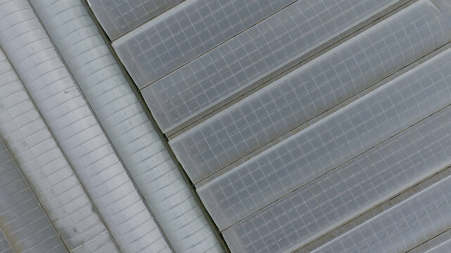 Aerial view of plastic greenhouses with translucent panels and grid structures in Porto, Portugal.