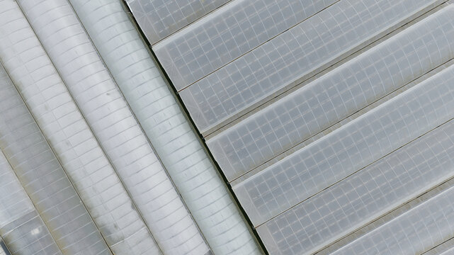 Aerial view of plastic greenhouses with translucent roofs arranged in parallel rows in Porto, Portugal.