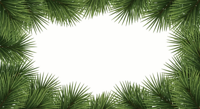 Realistic green pine needle branches forming a border frame around a central white void. Coniferous evergreen spruce foliage composition for winter holiday background.