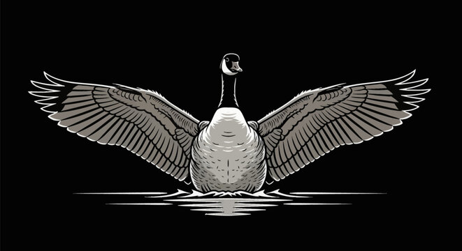 Symmetrical vector illustration of a Canada goose with wings wide spread floating on dark water, monochrome woodcut style bird wildlife graphic isolated on black background.