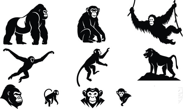 Primate Silhouette Collection Featuring Gorilla Chimpanzee Orangutan Monkey and Ape Vector Icon SetPrimate Silhouette Collection Featuring Gorilla Chimpanzee Orangutan Monkey and Ape Vector Icon Set
