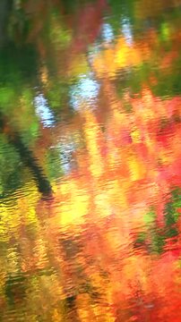 水面に映る紅葉
