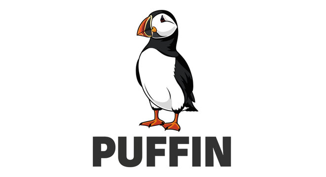 Atlantic Puffin Vector Illustration