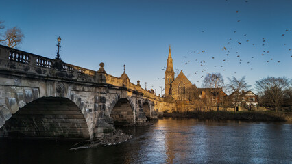Fototapeta premium Pigeons in Flight Over English Bridge and River Severn with Church Spire, Shrewsbury