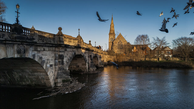 Pigeons in Flight Over English Bridge and River Severn with Church Spire, Shrewsbury