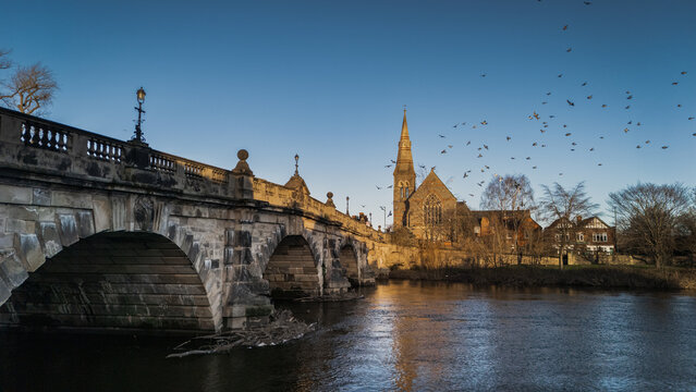 Pigeons in Flight Over English Bridge and River Severn with Church Spire, Shrewsbury