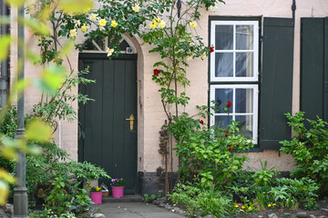 Front door with a small forecourt garden at a historic house in the old town, featuring roses, shrubs, perennials and potted flowers, nature in the city, selected focus, © Maren Winter