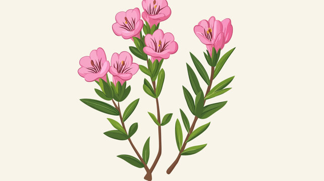 Pink flowers with green leaves and brown stems in a light beige background. Symmetrical, no text or logos. Smooth, vibrant colors