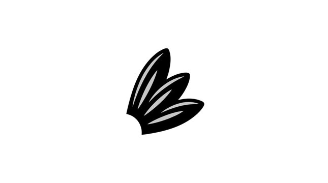 Black feather wings isolated closeup.
