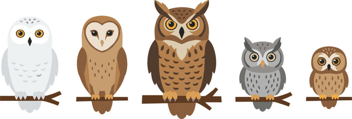 Owl Bird Species Vector Illustration Set Featuring Snowy Owl Barn Owl Great Horned Owl Screech Owl and Little Owl Perched on Tree Branches © Abrar