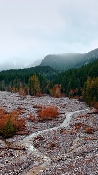Valley in the pine tree forest covered with pebbles and some streams. Beautiful hazy mountains at backdrop. Mount Rainer national park, Washington, USA. Vertical video