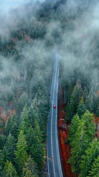 Single red car drives by the highway going through the Mount Rainer national Park, Washington State, the USA. Top view on the scenery covering with mist. Vertical video