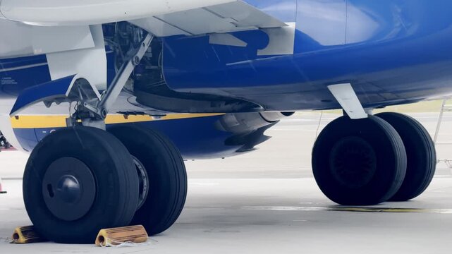 Close-up of aircraft landing gear and large wheels on an airport tarmac, showing undercarriage details, blue fuselage and ground service equipment.