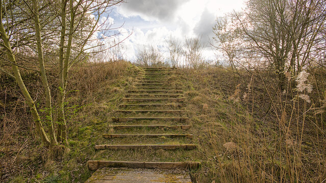 . stairs along a hiking trail between bare trees in Groot Rietveld park Kalo, Antwerp, Flanders, Belgium 