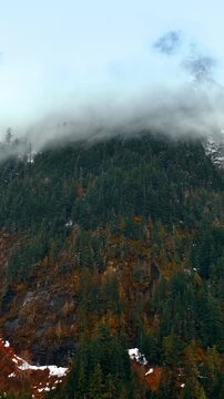 High mountain with misty cap around the top. Drone rising along the huge rock with pine trees growing on. Mount Rainer national park, Washington, USA. Vertical video
