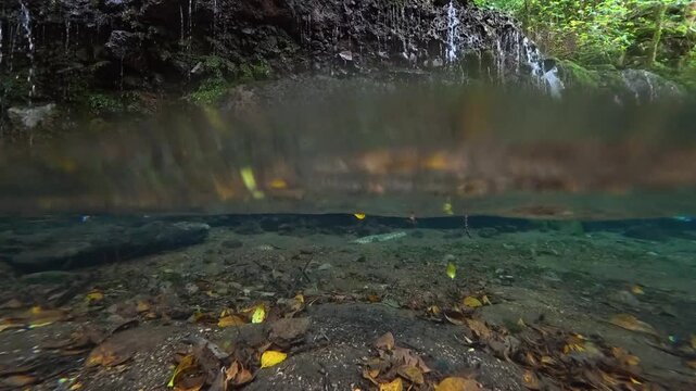 神奈川県箱根で撮影した千条の滝の透き通った水中の動画