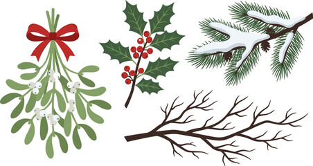 Fototapeta premium Christmas Winter Botanical Vector Set with Mistletoe Holly Berries Snowy Pine Branch and Bare Tree Twig Elements for Holiday Pattern Greeting Card Graphic Designs