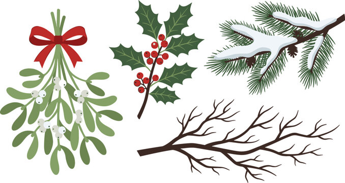 Christmas Winter Botanical Vector Set with Mistletoe Holly Berries Snowy Pine Branch and Bare Tree Twig Elements for Holiday Pattern Greeting Card Graphic Designs