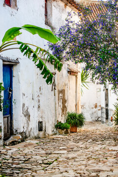 Historic Spain alley, whitewashed homes, purple vine