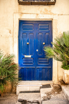 Valetta historic blue door with potted palms
