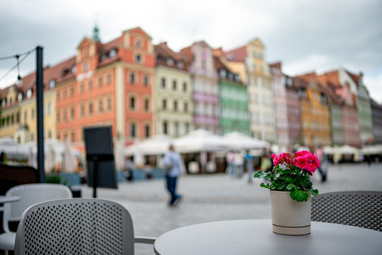 Wroclaw Rynek cafe, pink geraniums, colorful buildings