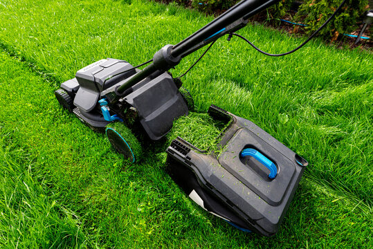 Electric lawnmower cutting overgrown wet grass in garden