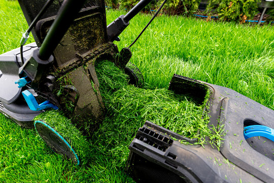 Electric lawnmower cutting overgrown wet grass in a garden