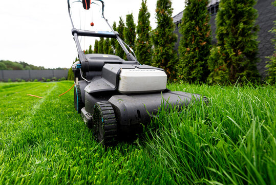 Electric lawnmower cutting overgrown wet grass in backyard