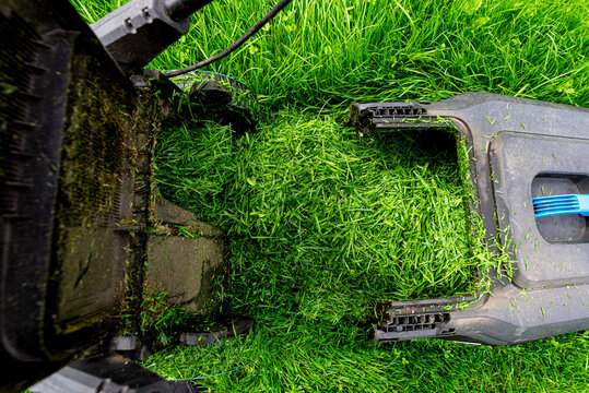 Electric lawnmower cutting overgrown wet grass in garden