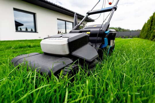 Electric lawnmower cutting overgrown wet grass in backyard
