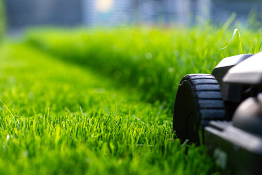 Electric lawn mower cutting overgrown green grass lawn
