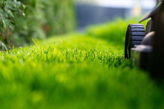 Lawn mower wheel cutting green overgrown grass