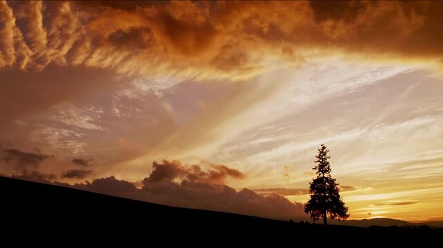 Golden sunset clouds above a solitary tree in the rolling hills of Hokkaido